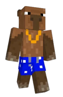 Front of 24's skin
