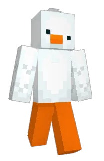 Front of Minecraft skin