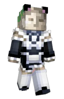 Front of besserstimmen's skin