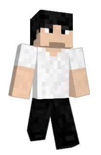 Akitaaaa1's Minecraft skin