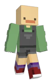 Skin preview