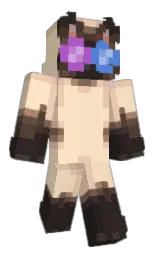 tequila and cocoa brown Minecraft skin — Classic model — first worn by emiqip