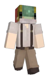 Skin preview