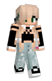 Skin preview