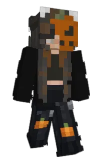 Front of pingplus's skin