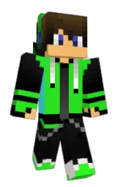 Skin preview