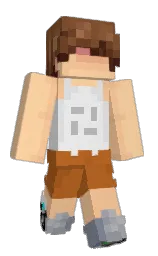 Minecraft skin — Classic model