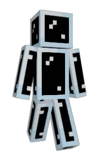 Front of spofoh's skin