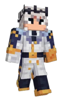 Front of conemex's skin