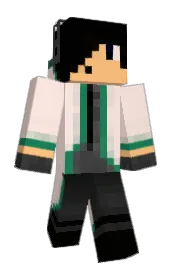 Skin preview