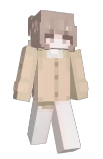 Front of anioo's skin