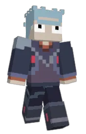 Skin preview