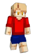 NedTube