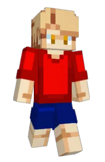 Front of NedTube's skin