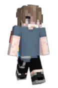 NichePins
