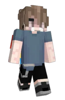 Front of NichePins's skin