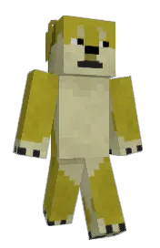 Skin preview