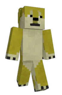 Front of J6's skin