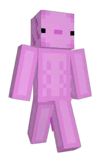 Front of IENNY's skin