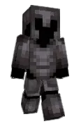 Husky_2008