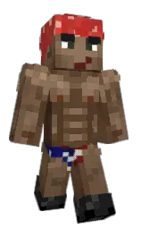 ForceSF's Minecraft skin wearing the Migrator cape