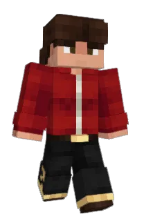 Front of vidsmate's skin