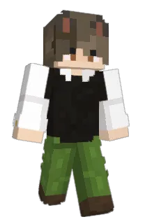 Front of itsturtlej's skin