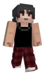 Classic Minecraft skin