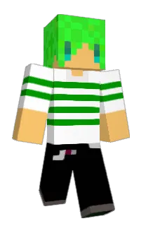 Front of Aoshu_Editor's skin