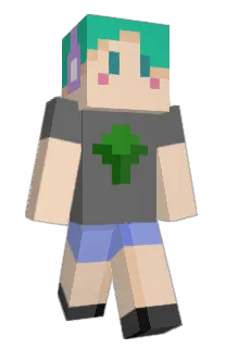 Front of Minecraft skin