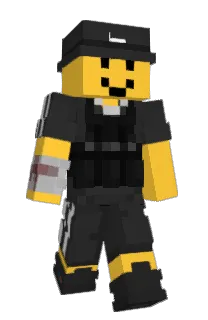 Front of NQDE's skin