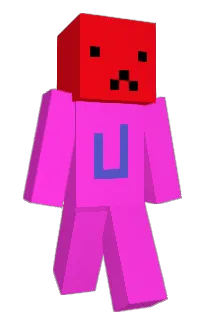 Front of Anleaf's skin