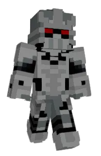 Front of Savver's skin