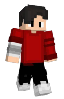 Front of RobinSwag's skin