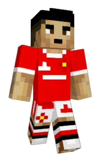 JipsinN31's Minecraft skin