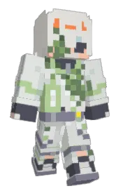 Skin preview