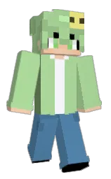 Minecraft skin — Classic model