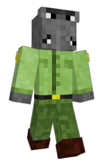 Front of Cringegamer9's skin