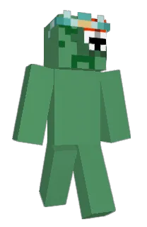 Front of notedfr's skin