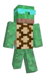 Sarbol's Minecraft skin wearing the Migrator cape