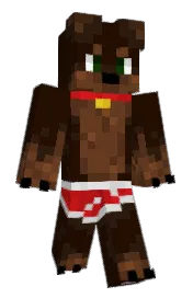 Skin preview