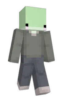 Front of K1B00's skin