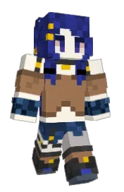 Skin preview