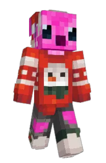 Front of ViTeg's skin