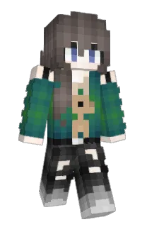 Front of Minecraft skin