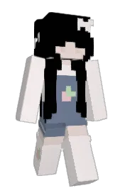 Skin preview