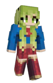 Skin preview