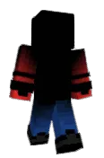 Pixsel2010