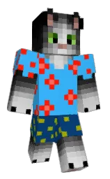Classic Minecraft skin