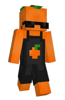 Front of wdhs's skin